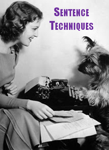 sentence techniques